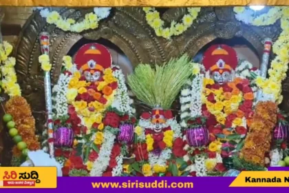ಅರಸೀಕೆರೆ : ಸಂಭ್ರಮದ ದಂಡಿನ ದುರುಗಮ್ಮ ದೇವಿ ಜಾತ್ರೆ
