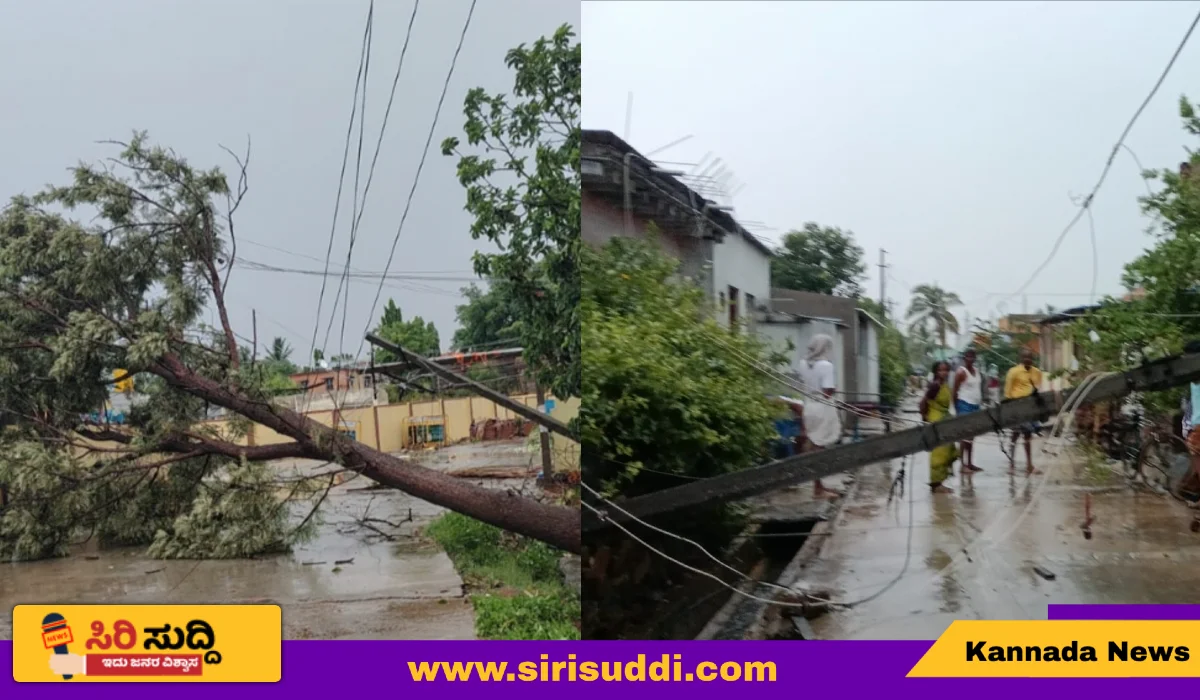 RAIN DAMAGES